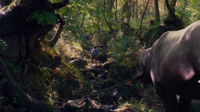 Dobrodružný akční snímek Okja se Netflixu podařilo uvést v 50 biografech.