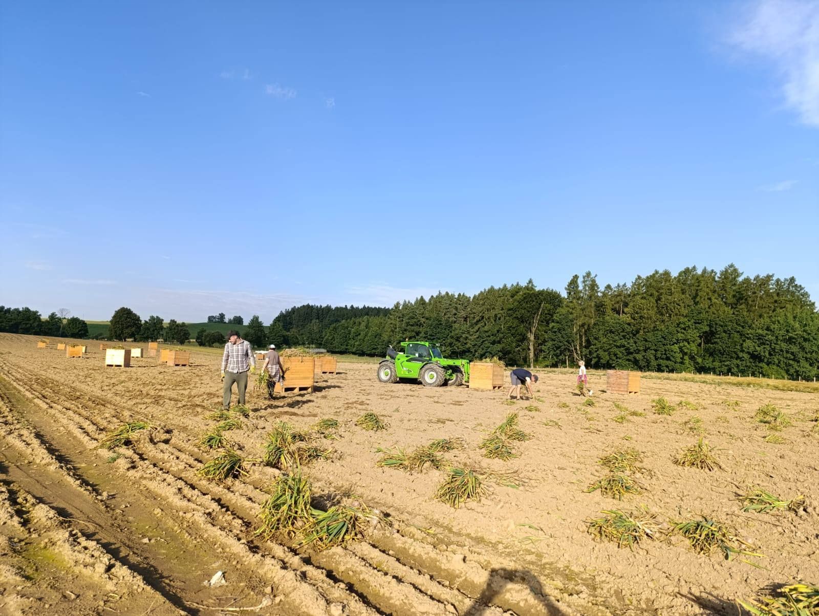 Farma Pech