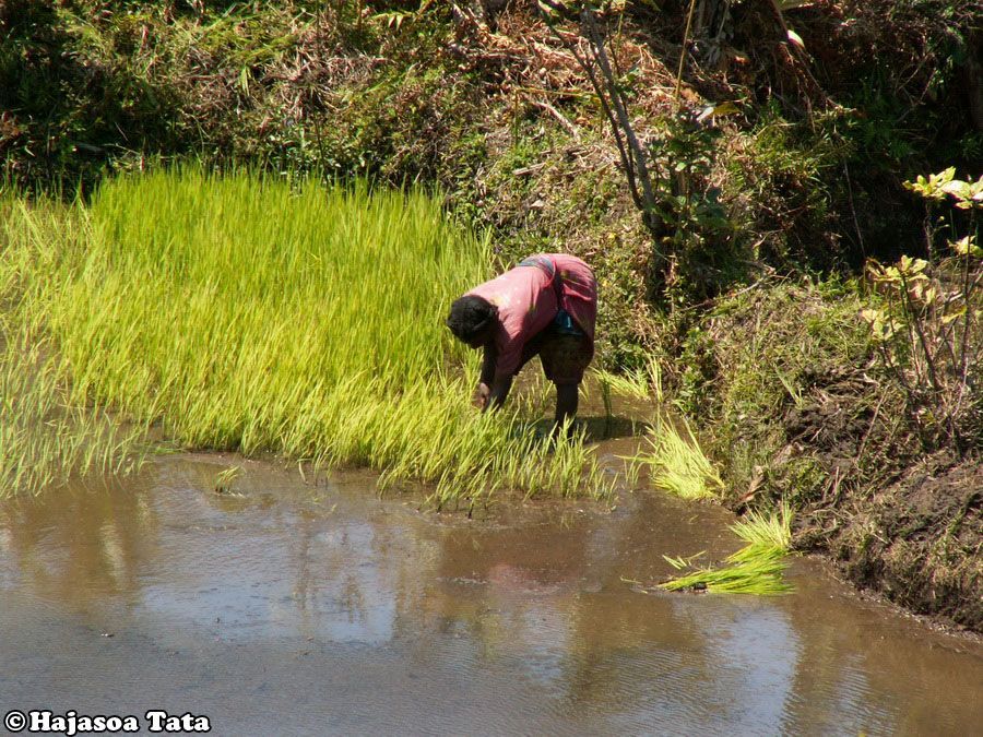 Hajasoa Tata - přednáška
