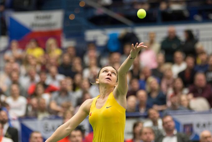 Plíšková vs. Halepová, Fed Cup, Česko vs. Rumunsko