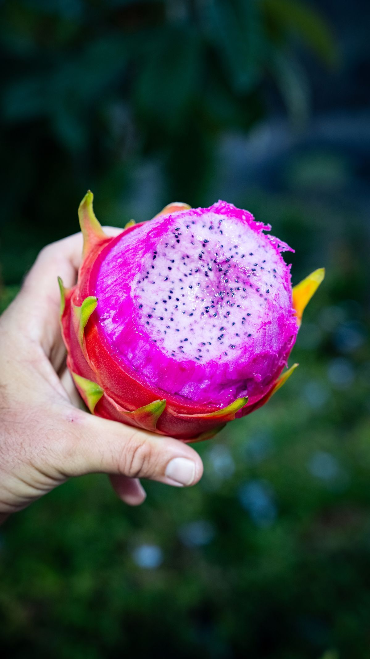 bety kapitanova, ostrov chuti, zena