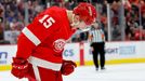 Jakub Vrána při svém návratu do sestavy Red Wings hned vstřelil gól