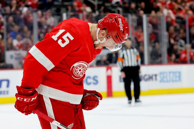 Jakub Vrána při svém návratu do sestavy Red Wings hned vstřelil gól