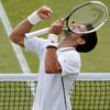 Tenis, Wimbledon, 2013: Novak Djokovič