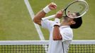 Tenis, Wimbledon, 2013: Novak Djokovič