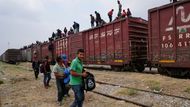 Mexiko migranti Bestie