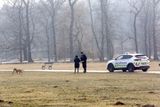 Policie krouží parkem a loví majitele neupoutaných psů.