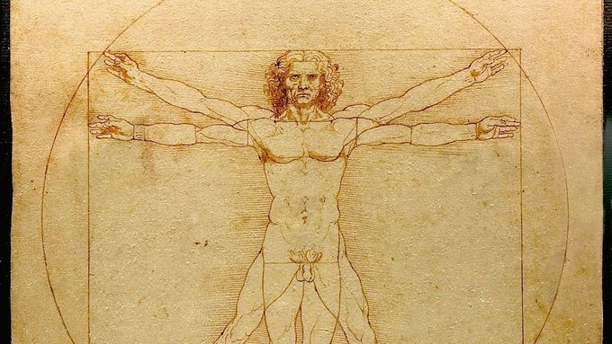 Ačkoliv se jedná o jedno z nejslavnějších děl v dějinách umění, po více než 500 let nikdo nedokázal přesně vysvětlit, proč da Vinci zvolil právě takové proporce paží a nohou.