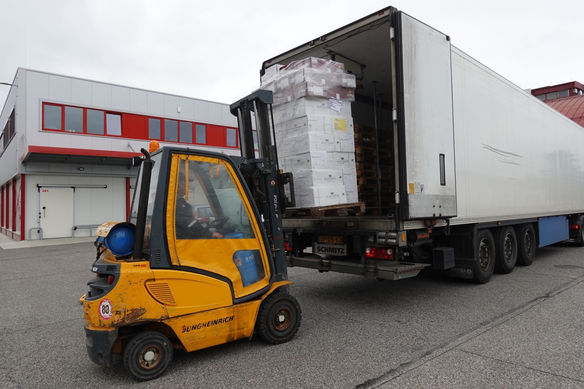 monika sustrova, kamionacka