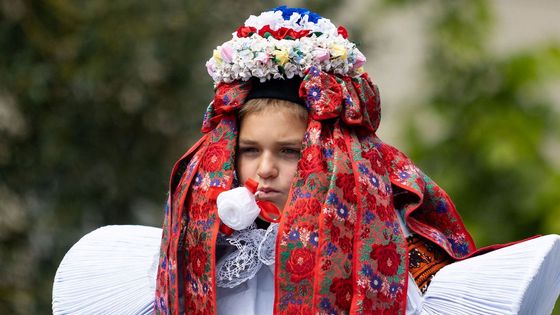 Nový král v dívčím kroji s růží v ústech: Vlčnov tleskal jedenáctiletému Františkovi