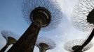 Guests walk on the elevated skyway of the Supertrees Grove at the Gardens by the Bay in Singapore June 28, 2012. The 101-hectare gardens situated at the heart of Singapore's new downtown at Marina Bay, which have two greenhouses and 220,000 plants from almost every continent, was officially opened by Singapore's Prime Minister Lee Hsien Loong on Thursday. REUTERS/Tim Chong (SINGAPORE - Tags: ENVIRONMENT SOCIETY TRAVEL) Published: Čer. 28, 2012, 4:07 odp.