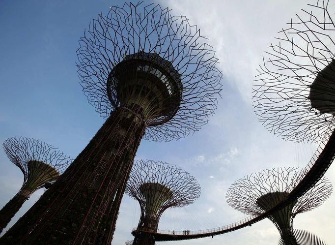 Guests walk on the elevated skyway of the Supertrees Grove at the Gardens by the Bay in Singapore June 28, 2012. The 101-hectare gardens situated at the heart of Singapore's new downtown at Marina Bay, which have two greenhouses and 220,000 plants from almost every continent, was officially opened by Singapore's Prime Minister Lee Hsien Loong on Thursday. REUTERS/Tim Chong (SINGAPORE - Tags: ENVIRONMENT SOCIETY TRAVEL) Published: Čer. 28, 2012, 4:07 odp.