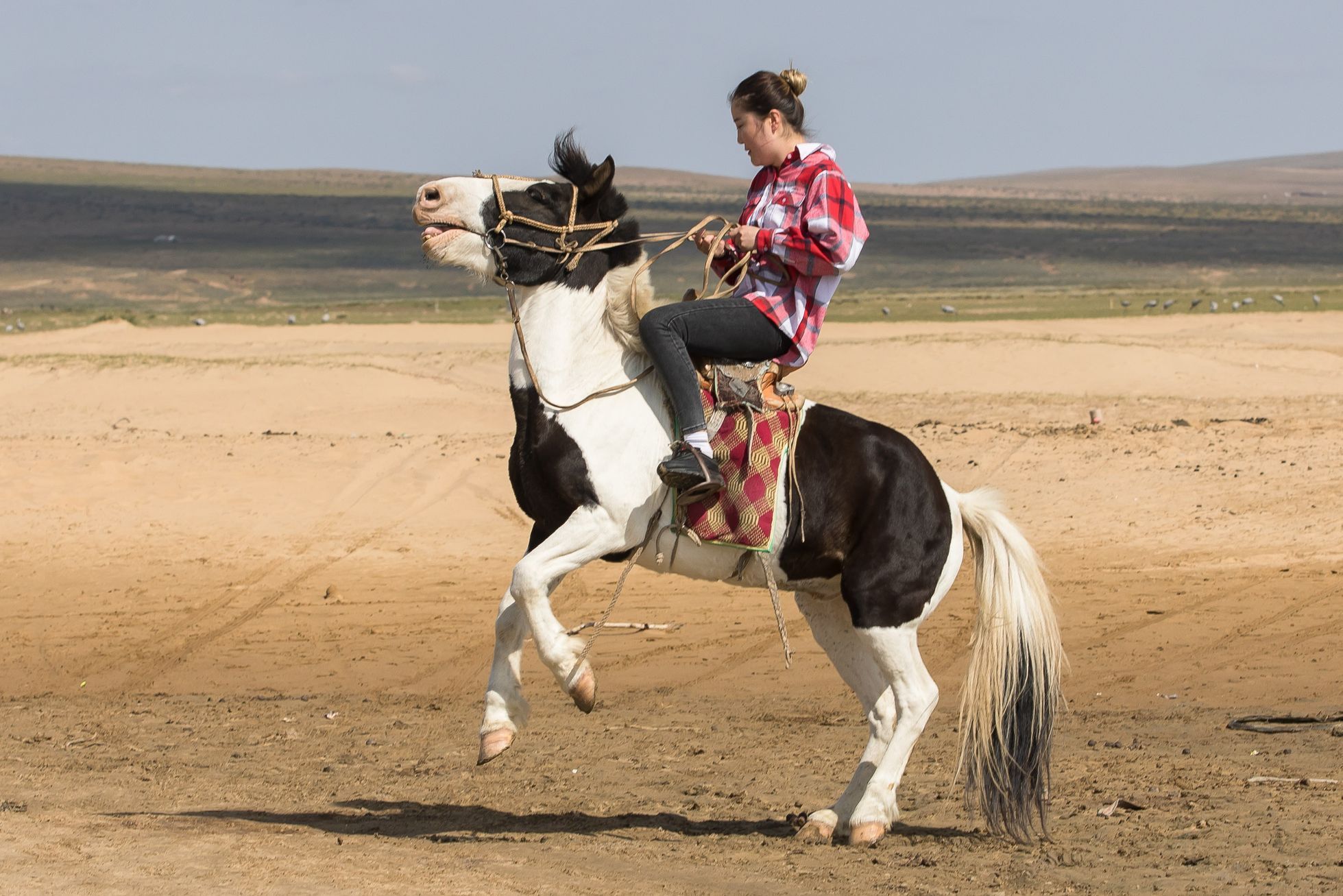 Mongolsko, mongolové, pastevci, pastevec, jurta, kůň, koně, poušť Gobi