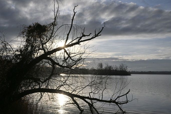 Hlohovecký rybník. Národní přírodní rezervace Lednické rybníky na Břeclavsku. Jižní Morava. 5. 1. 2023.