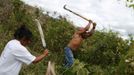 Brazilští indiáni Macuxi v ohrožení farmáři a těžaři