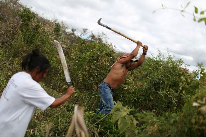 Brazilští indiáni Macuxi v ohrožení farmáři a těžaři