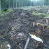 Koleje v Modravě v Národním parku Šumava