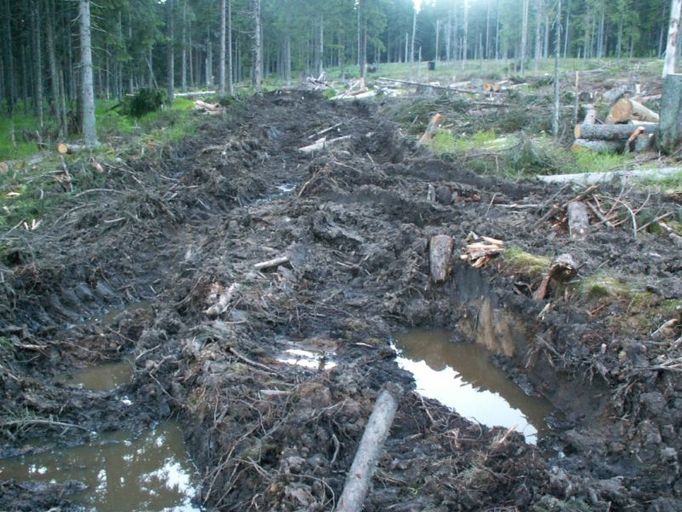 Koleje v Modravě v Národním parku Šumava