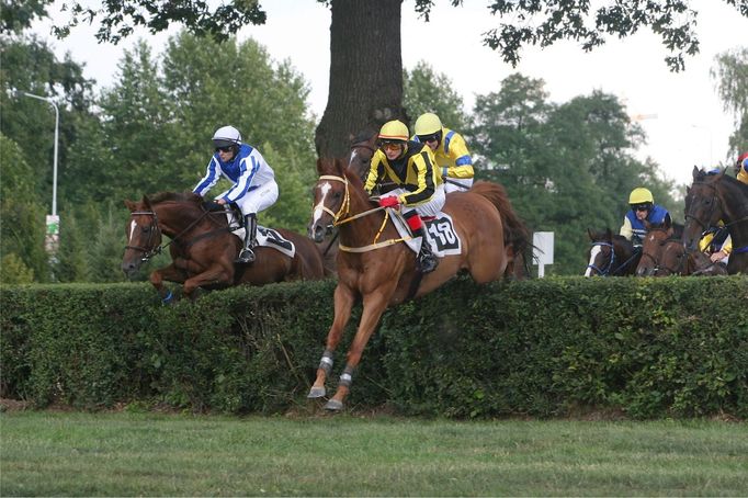 Velká pardubická - současnost