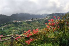 Portugalský klenot Madeira mluví "řečí květin"
