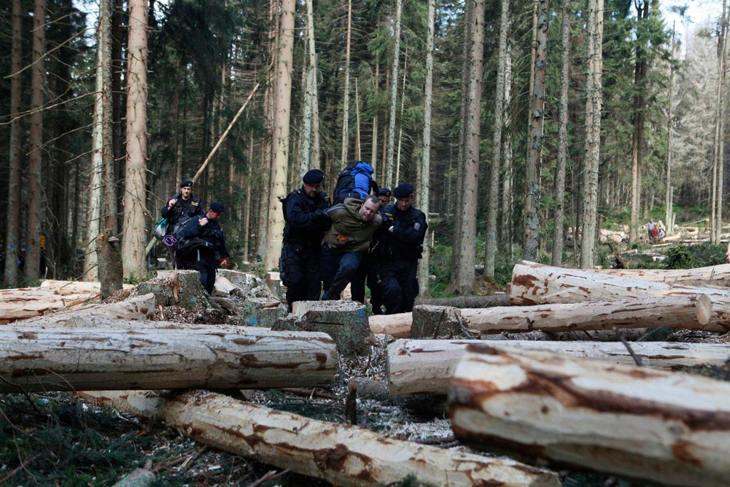 Tyto fotky boje o stromy Šumavy obletěly svět