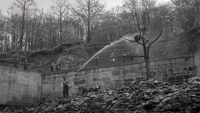 Po otevření nové expozice medvědů v roce 1959 se medvědi Duňa a Váňa mohli rozběhnout po rozlehlém výběhu bez mříží a v umělém brlohu vychovávat další potomky.