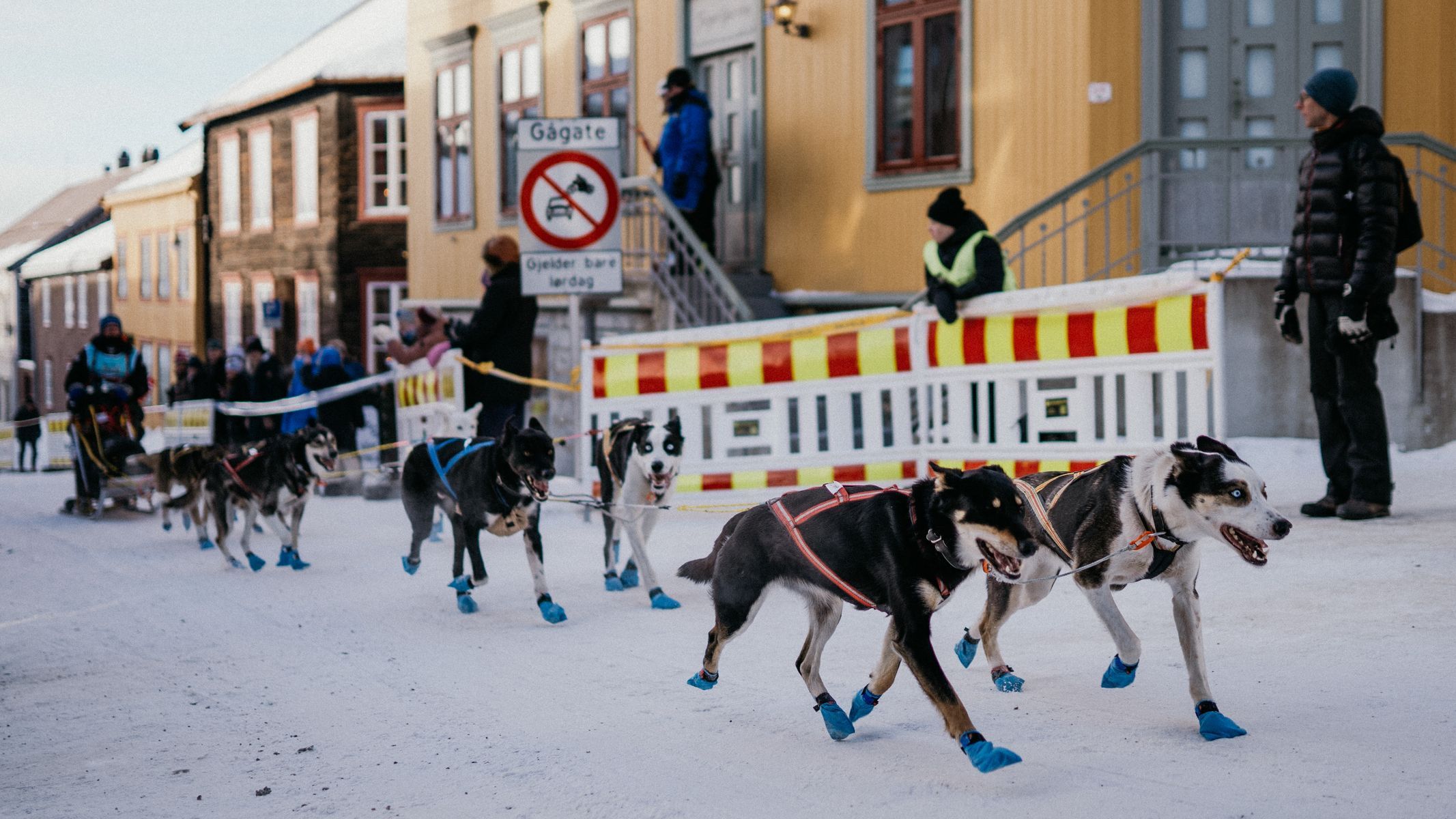 femundlopet psí spřežení mushing norsko