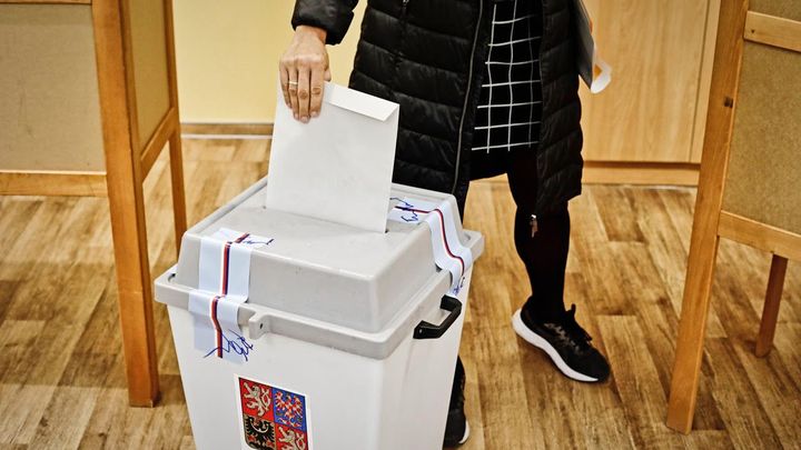 Češi rozhodnou o novém složení radnic a obměně třetiny senátorů; Zdroj foto: Libor Fojtík
