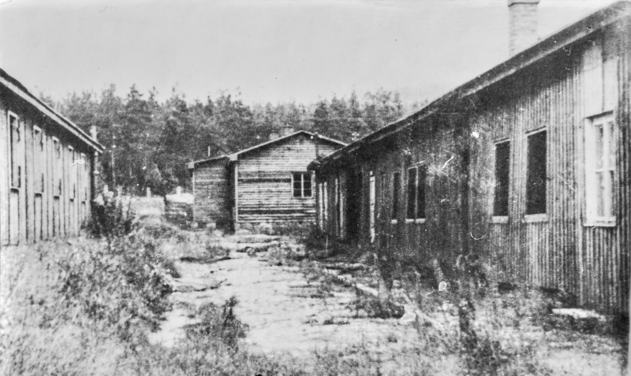 Koncentrační tábor Hradištko a neznámý příběh španělských vězňů, Koncentrační tábor Hradištko, Koncentrační tábor, Benešovsko, historie, Magazín