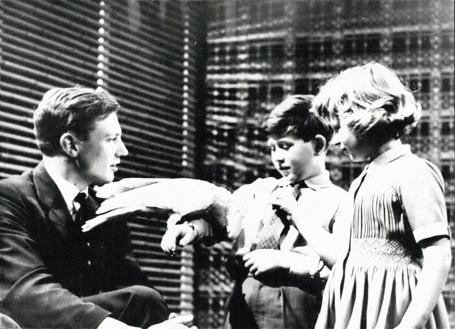 Jednorázové užití / Fotogalerie / Legendární britský přírodovědec David Attenborough slaví 95. narozeniny
