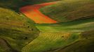 Rozkvetlá letní pole v okolí italské vesnice Castelluccio di Norcia