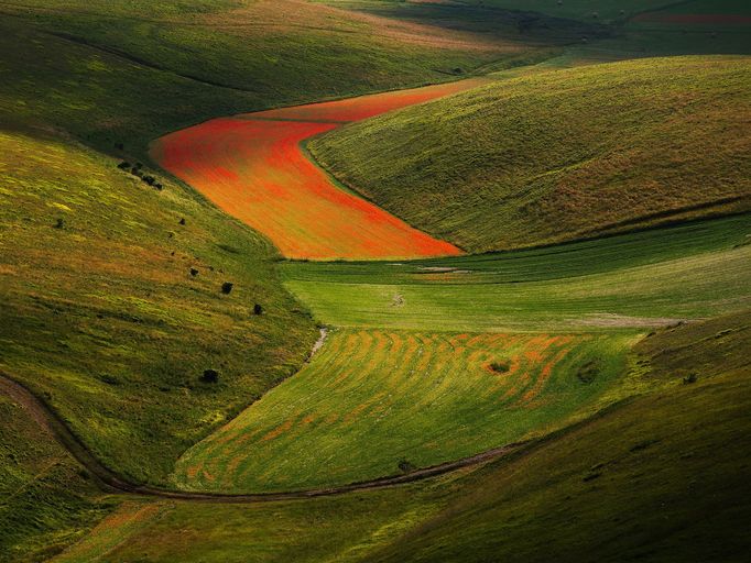 Rozkvetlá letní pole v okolí italské vesnice Castelluccio di Norcia