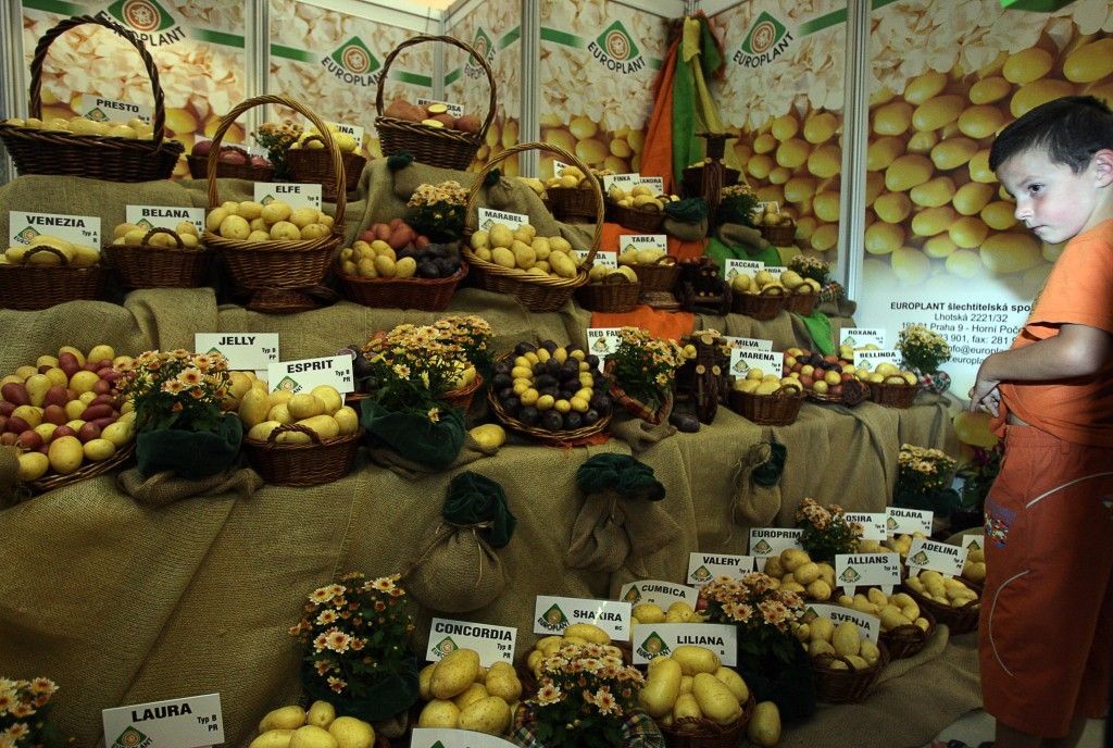 Země živitelka 2010