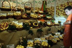 České Budějovice hostí největší zemědělský svátek