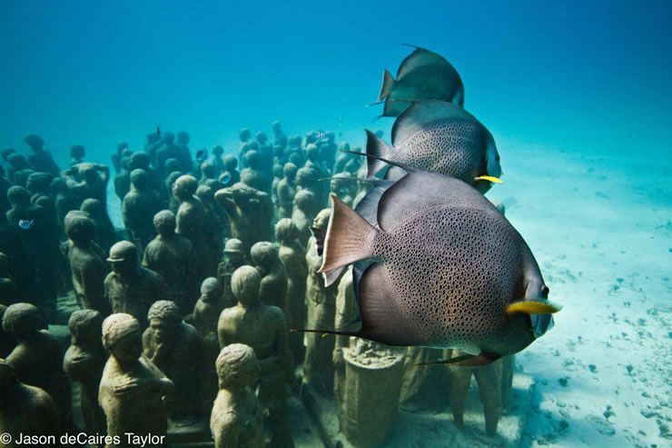 Jason de Caires Taylor - Tichá evoluce