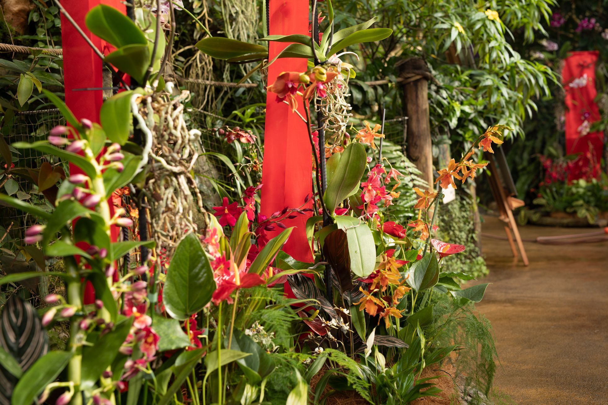 Botanická zahrada, fata morgana