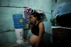 Zika už nepředstavuje celosvětovou hrozbu, boj ale pokračuje, oznámil krizový výbor WHO
