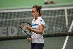 Proti Španělkám začne v sobotu Strýcová. Se Šafářovou Pála počítá až do čtyřhry