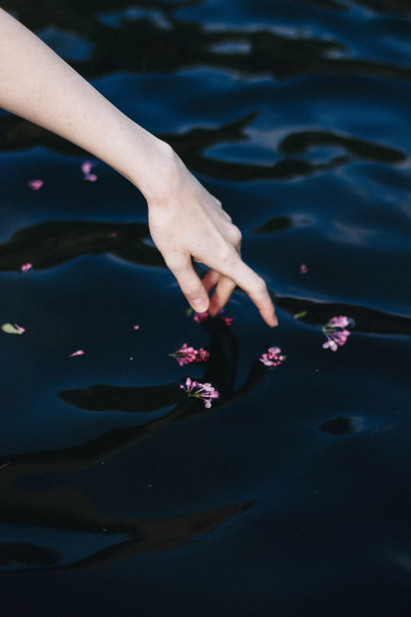 Kateřina Krausová tvorba