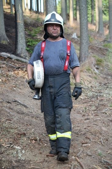 Požáry lesního porostu na Náchodsku a Rychnovsku