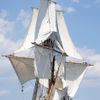 Jednorázové užití / Fotogalerie / Návrat nově zrekonstruovaná historické plachetnice Mayflower II / P