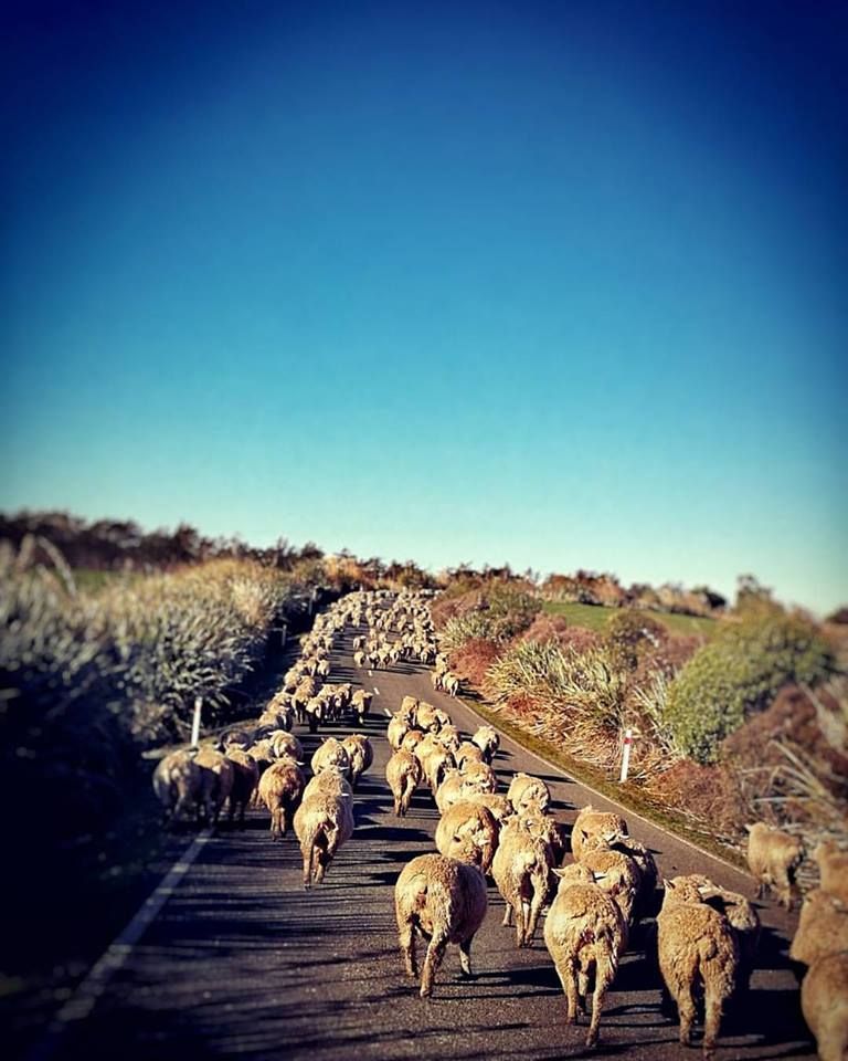 České zimní sportovkyně v létě 2017