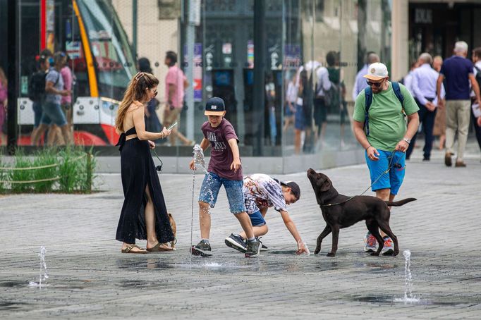 Adaptační proti změně klimatu v Praze.