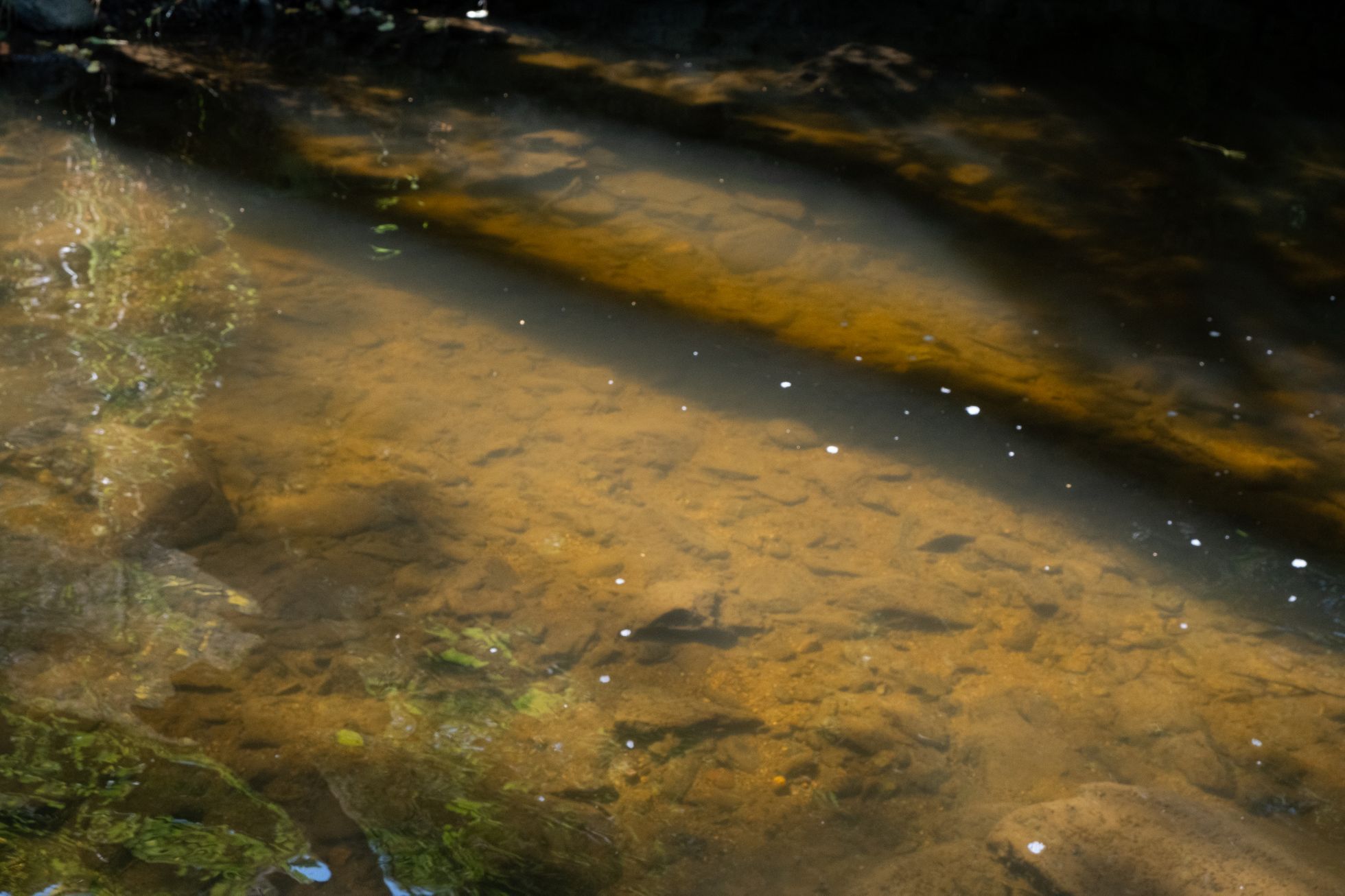 Údolí řeky Bobrovky