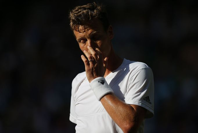 Tomáš Berdych v semifinále Wimbledonu 2016