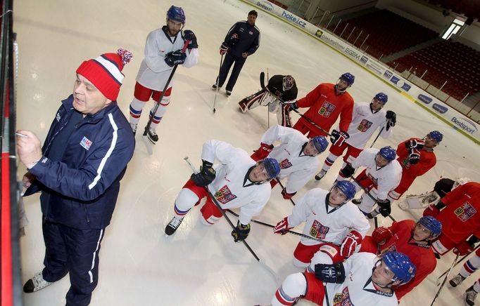 Sraz hokejové reprezentace před MS 2014