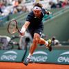 French Open 2015: David Ferrer