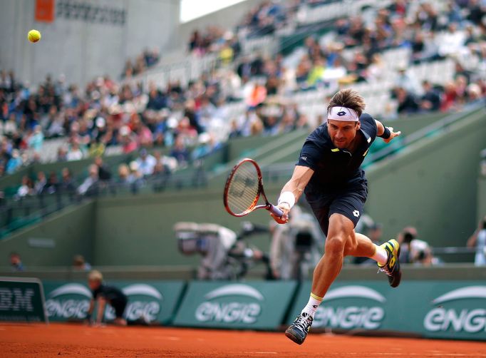 French Open 2015: David Ferrer