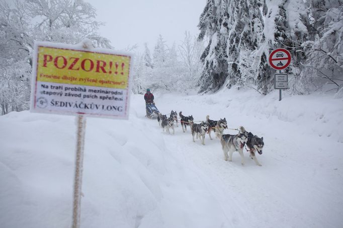 Šediváčkův long 2019, Orlické hory