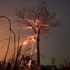 Farmáři v Brazílii vypalují amazonský prales